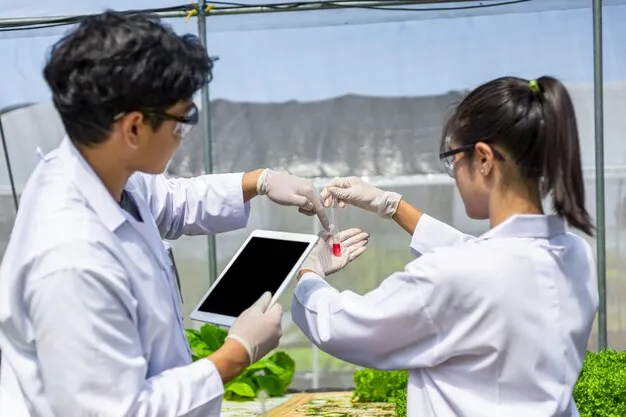 Navigating FSMA 204 with Korecent’s ERP Solution for Specialty Food Manufacturing